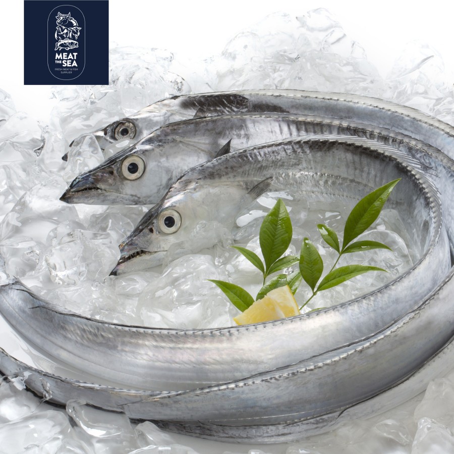 

Ikan Layur ● Fresh - DIBERSIHKAN