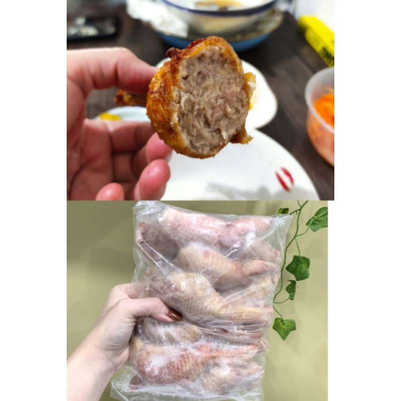 tori no teba /sayap isi