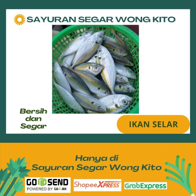 

Ikan Selar Segar - Sayuran Segar Wong Kito