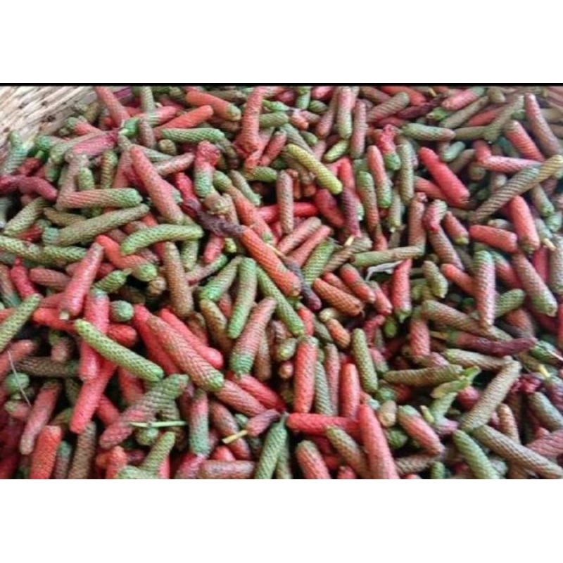 Cabe Jawa cabe jamu segar