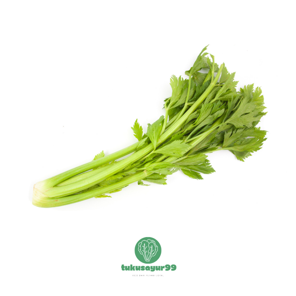 

Grosir Hemat Seledri Segar Lokal Kualitas Terbaik