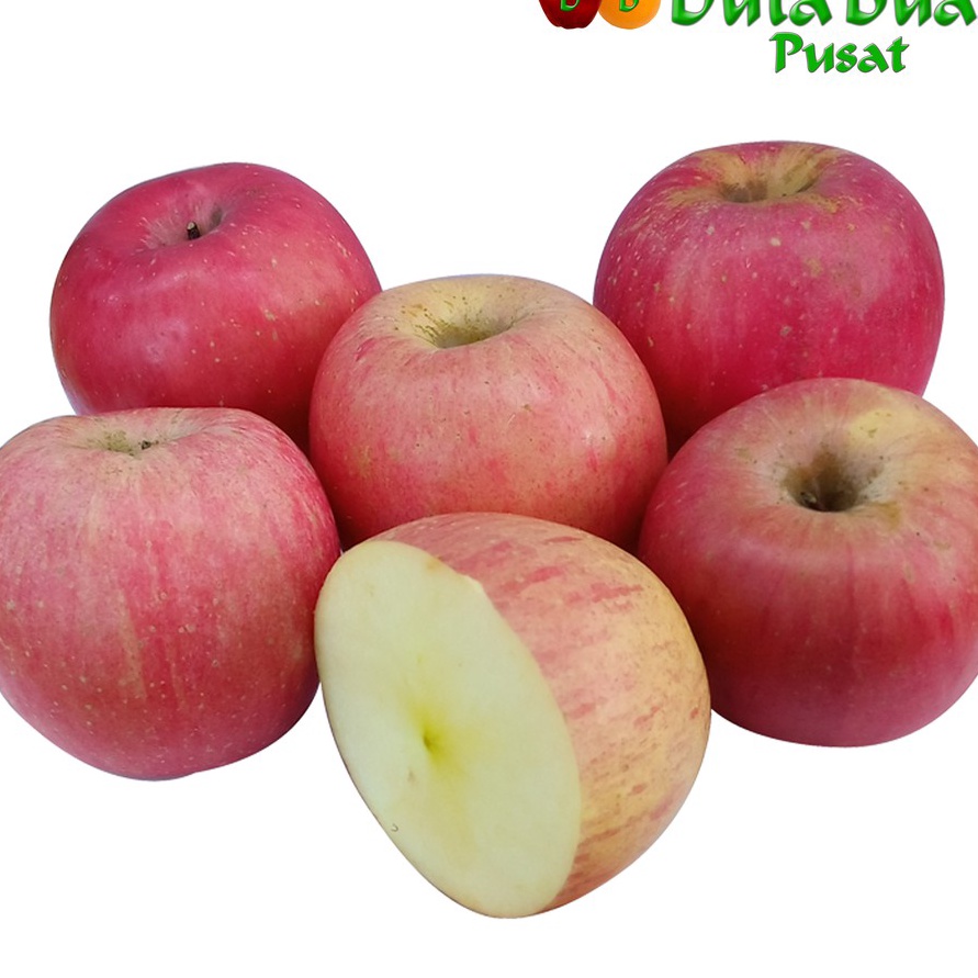 

Penjualan TerbaikCOD DUTA BUAH Apel Fuji 9g1kg