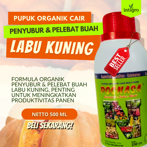 Pupuk Labu Kuning Pupuk Organik Booster Labu Penyubur Tanaman Serta Perangsang Labu Kualitas Bagus 1