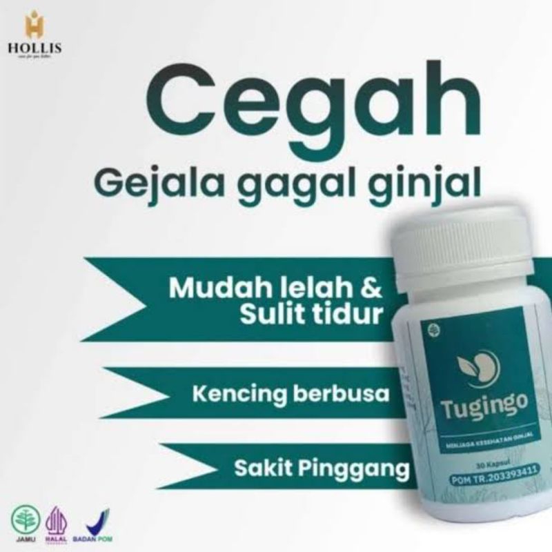 Tugingo Obt Batu Ginjal Herbal Penyakit Ginjal Kronis Gagal Ginjal Infeksi Ginjal