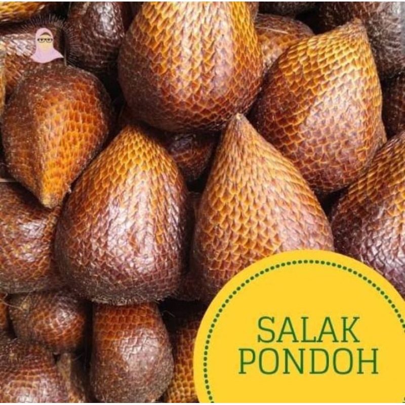 

Buah salak Pondoh manis 1 kg salak Pondoh segar