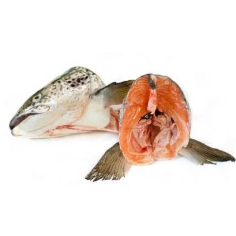 

kepala ikan salmon perpack