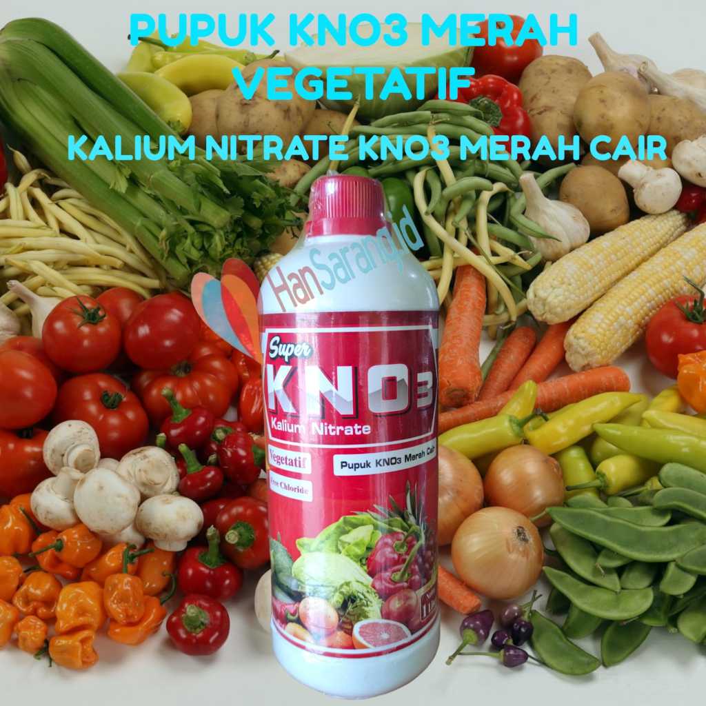 KNO Merah Cair pupuk masa vegetatif pertumbuhan kno 3 merah cair kno3 kno merah Kalium