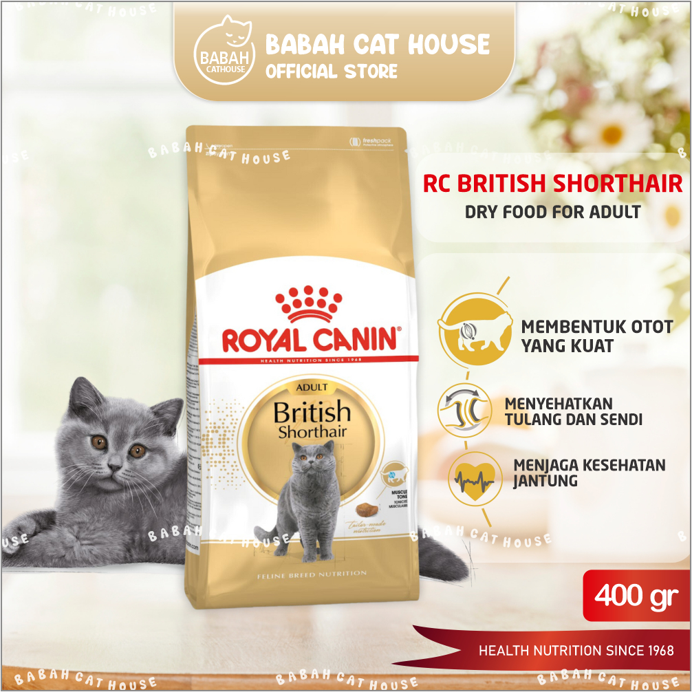 RC BRITISH SHORTHAIR ADULT 400gr Royal Canin British Short Hair BSH Makanan Kering untuk Kucing Ras Britis Dewasa Catfood Cat Food Dry 400 gram g