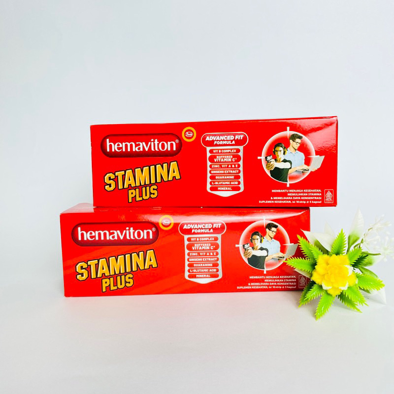 HEMAVITON STAMINA PLUS