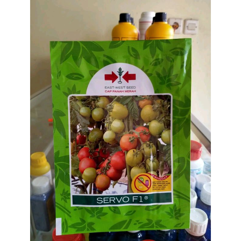 Benih Bibit Tomat Servo F1 (Perawatan Mudah Tahan Virus) isi 150 butir Kadaluarsa. 2026 Terbaru /Ter