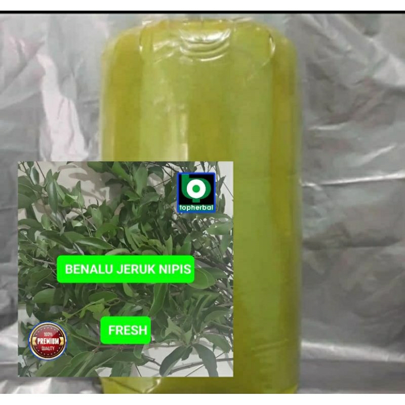 

Bubuk Benalu Jeruk Nipis Hutan 1000 Gram