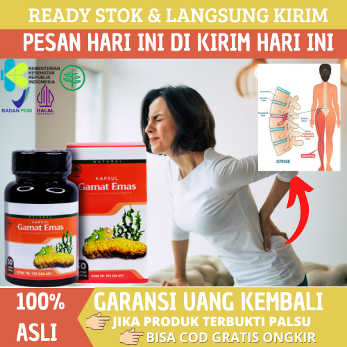 Obat Saraf Kejepit Herbal, Obat Syaraf Terjepit, Obat Sakit Pinggang, Obat Saraf Kejepit Tulang Bela