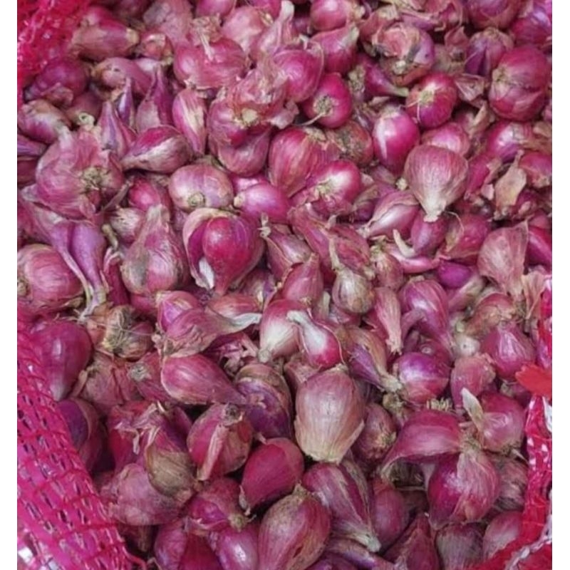 

bawang merah 1kg