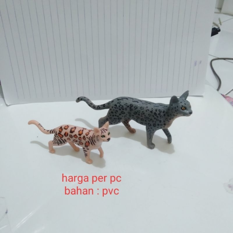 Miniatur Kucing Bengal Miniatur Bengal Cat