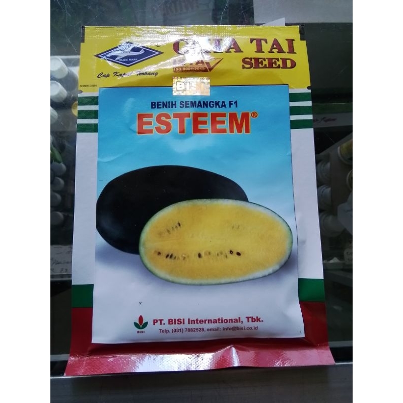 Benih Semangka Hibrida ESTEEM 20gr