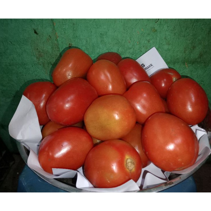 

Terlaku TOMAT MERAH FRESH PER 1 KG