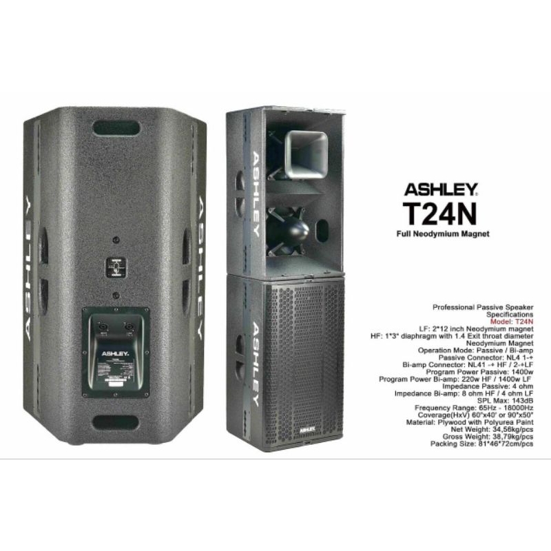 Ashley speaker passive T24n