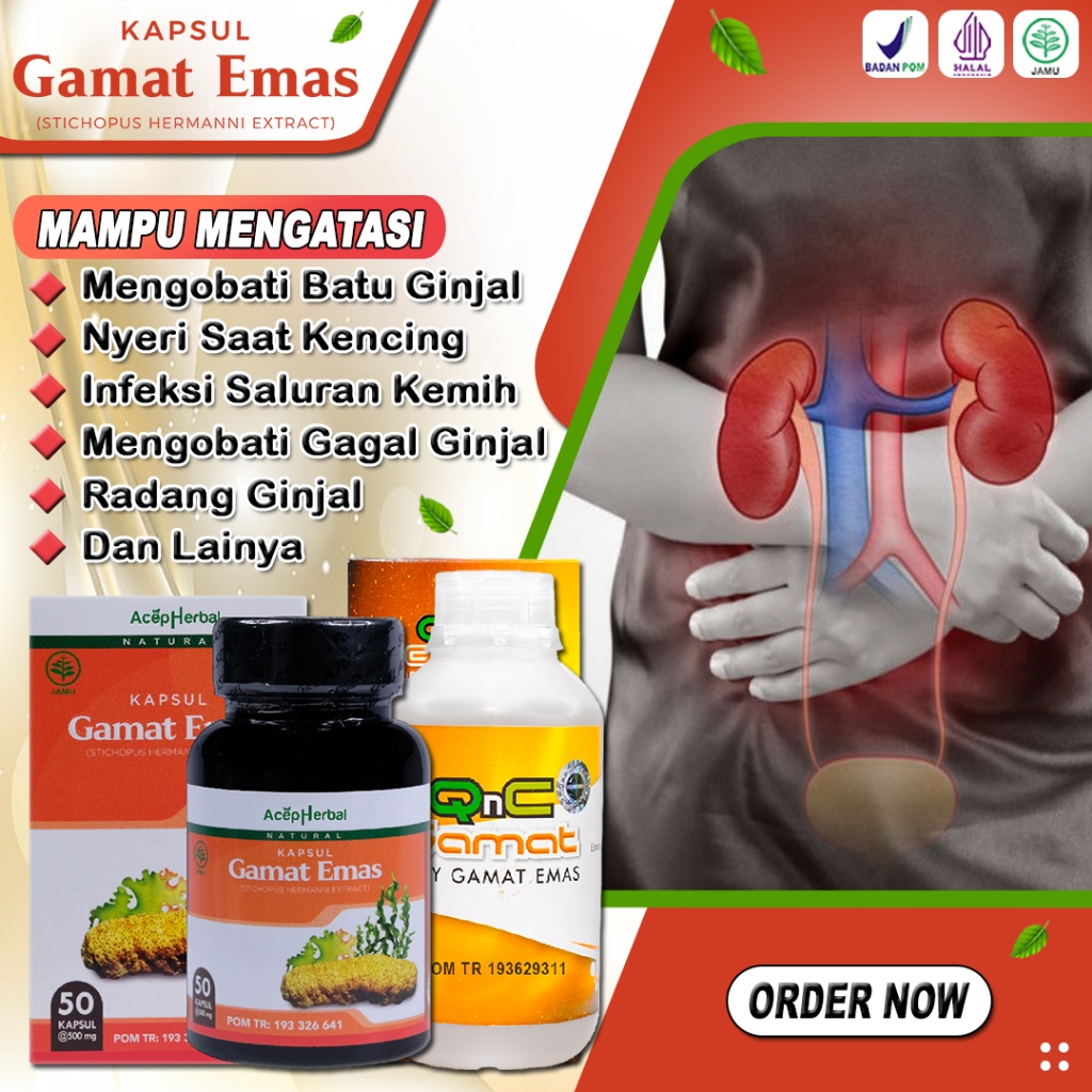 Obat Batu Ginjal Kencing Batu Obat Herbal Batu Ginjal Bocor Nyeri Kencing Sakit Saat Buang Air Kecil