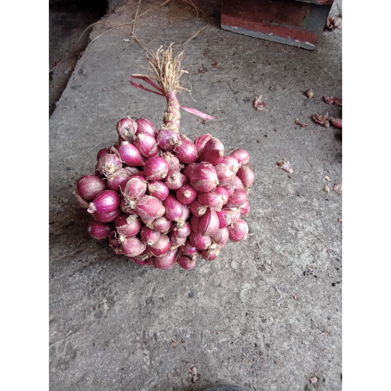 

bawang merah probolinggo 1 kg