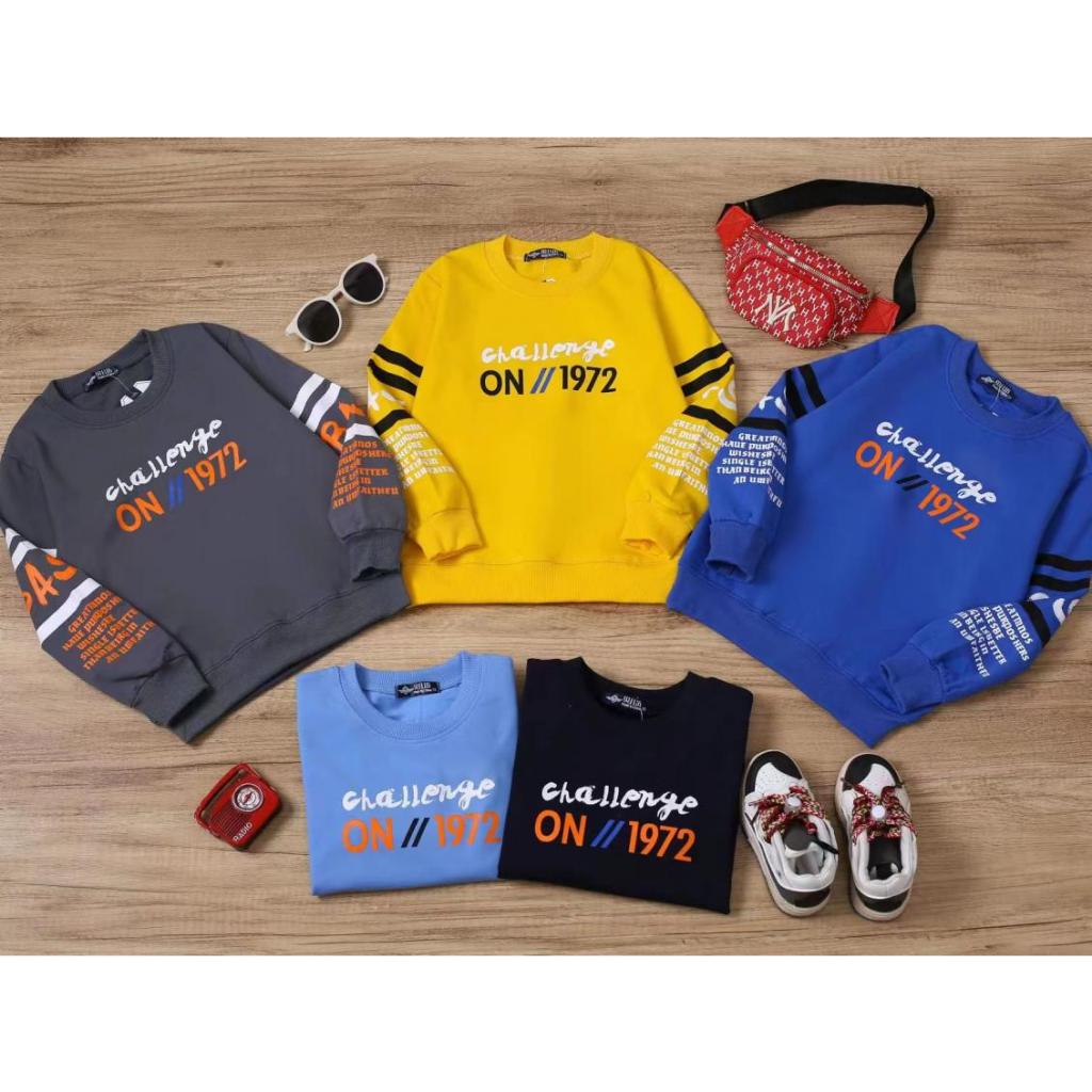 Sweater Anak Laki-laki Import