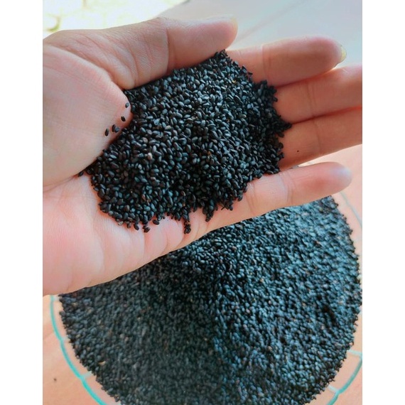 

FREE ONGKIR Biji Selasih Import 25 gram Bersih Grade A