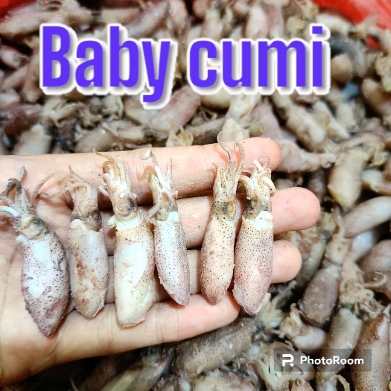 

IKAN ASIN CUMI BABY REBUS 1 KG TERLARIS