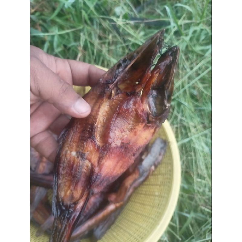 

Lele Salai / Lele Asap