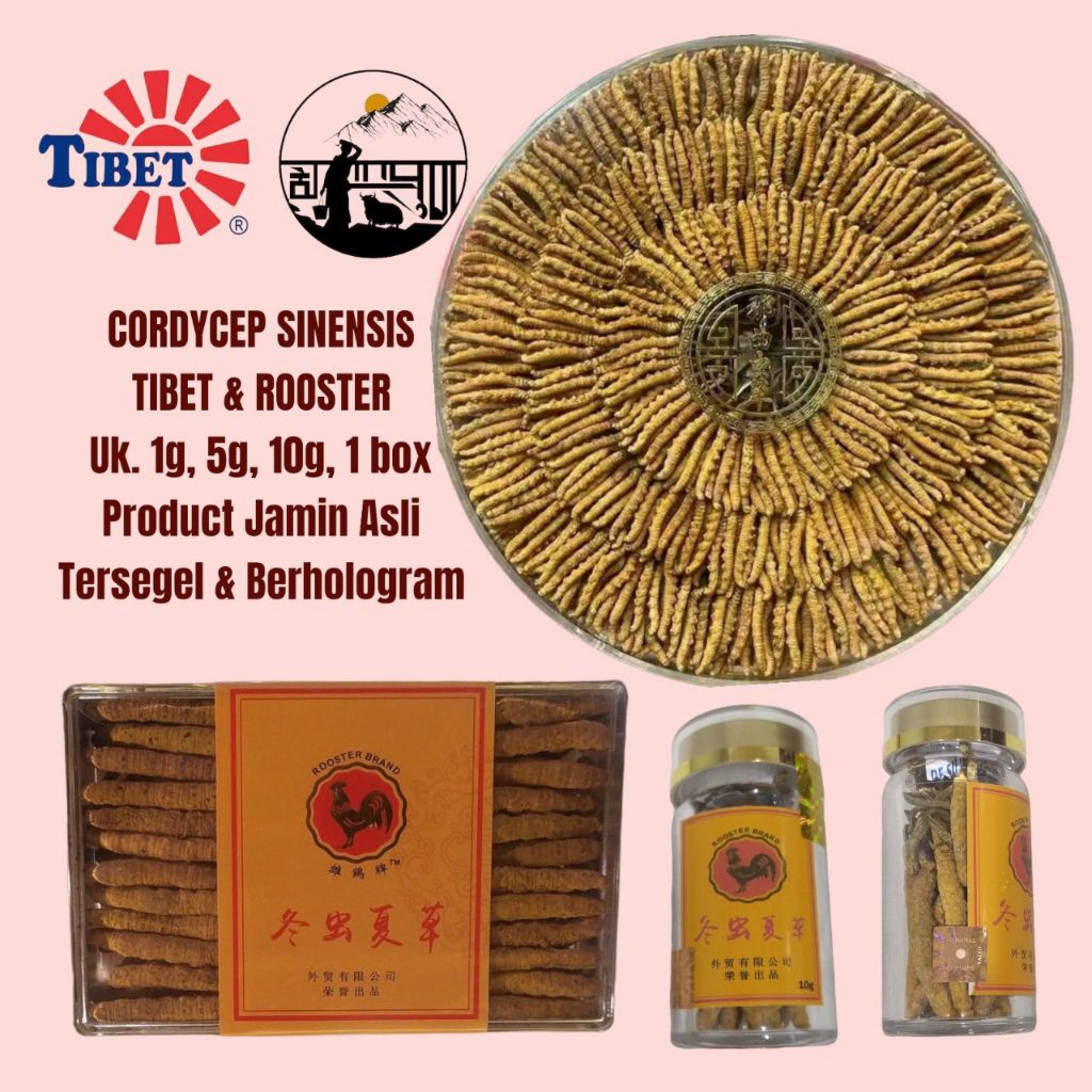 CORDYCEPS ROOSTERBRAND DONG CHONG XIA CAO CORDYCEPS TIBET SG
