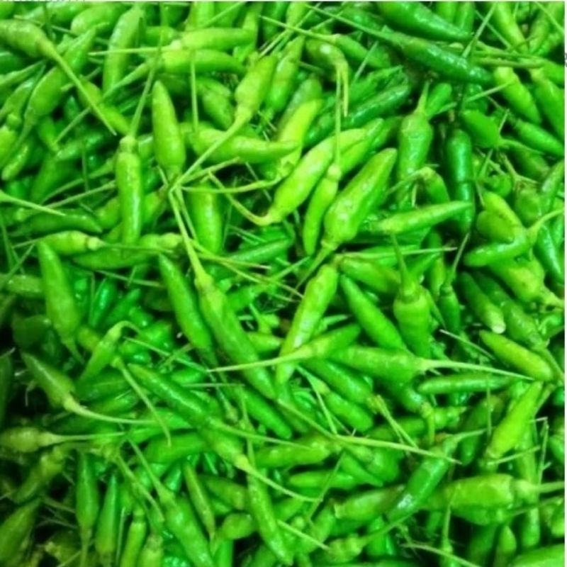 

Cabe Rawit Hijau Fresh 100 gram