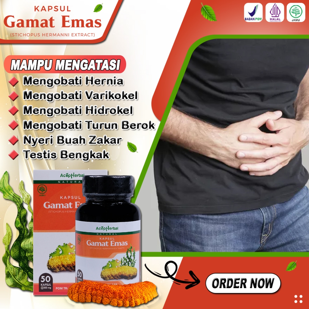 Obat Herbal Varikokel Bengkak Obat Biji Zakar Turun Berok Hernia Pria Wanita Nyeri Buah Zakar Besar 