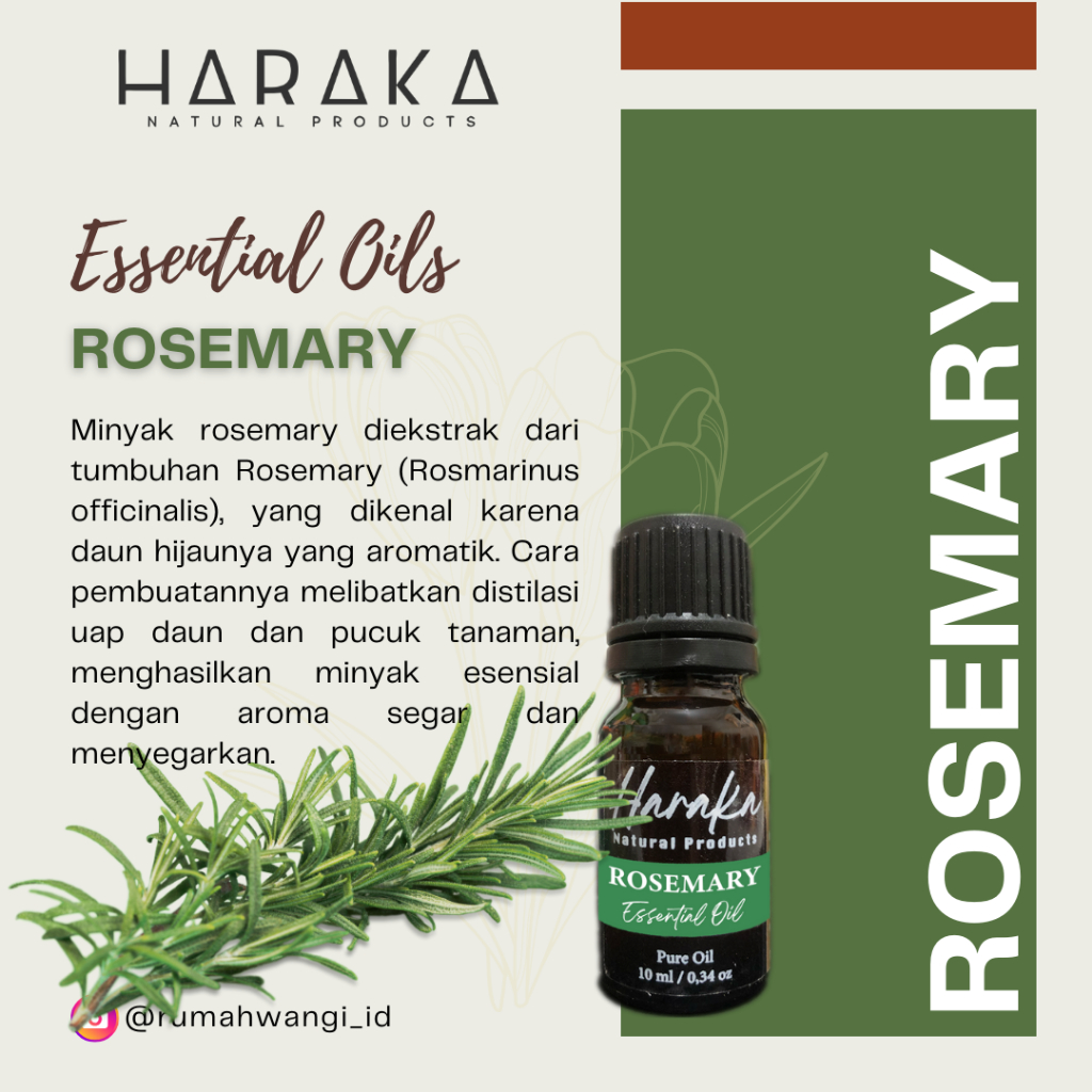 Essential Oil / Minyak Atsiri – Rosemary Oil