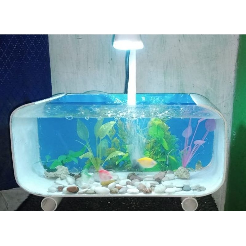 Aquarium mini full set/ aquarium cupang / Akrilik aquarium