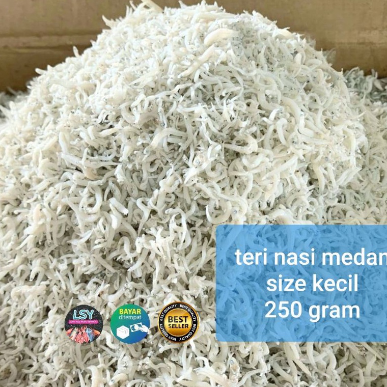 

FREE ONGKIR ikan asin teri nasi medan size kecil 25 gram