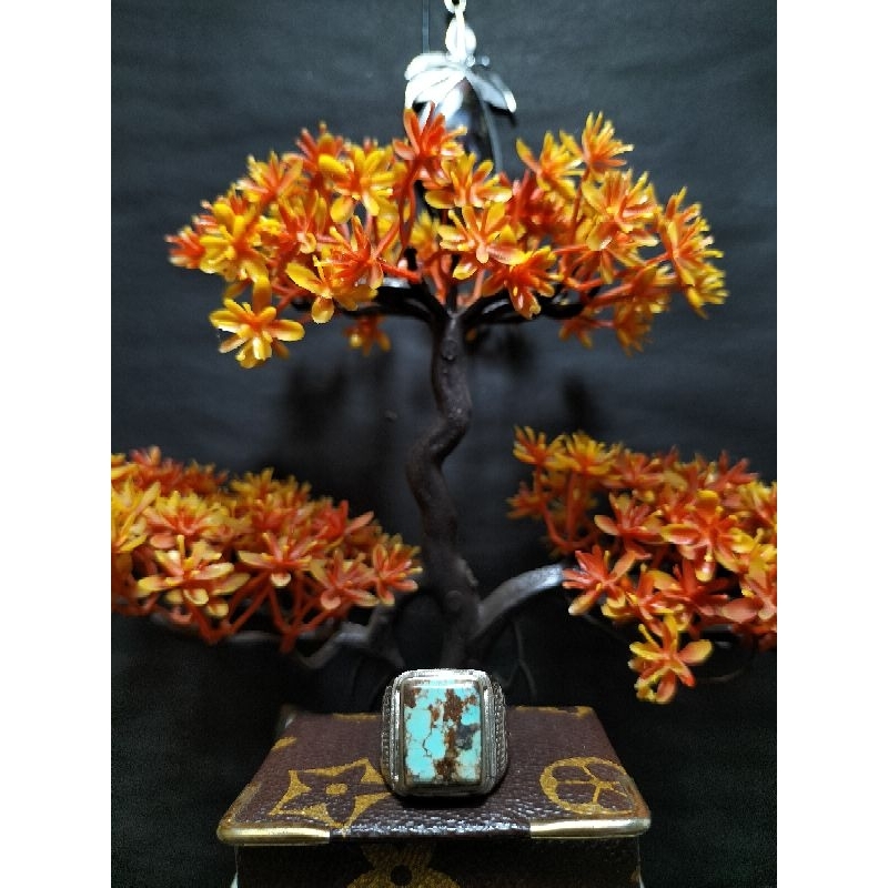 Pirus Persia Motif Kotak