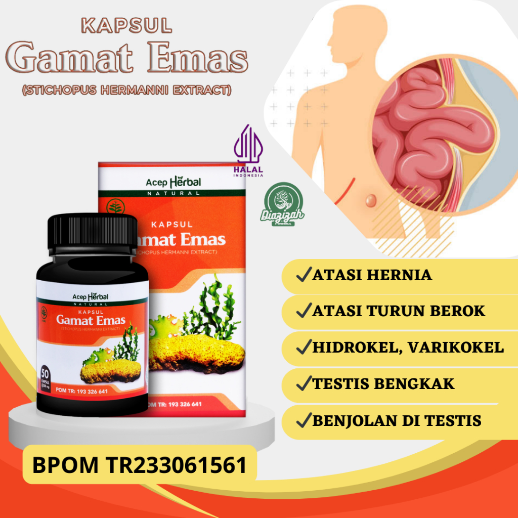 Obat Hernia, Obat Turun Berok, Obat Varikokel, Obat Hidrokel, Obat Testis Bengkak, Obat Benjolan di 