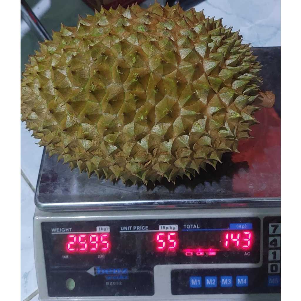 

Buah Durian Lokal Jumbo