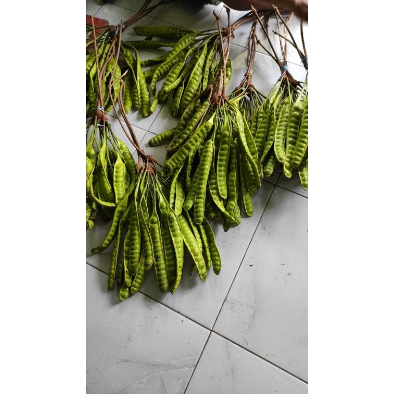 

Petai kebumen pesanan apow
