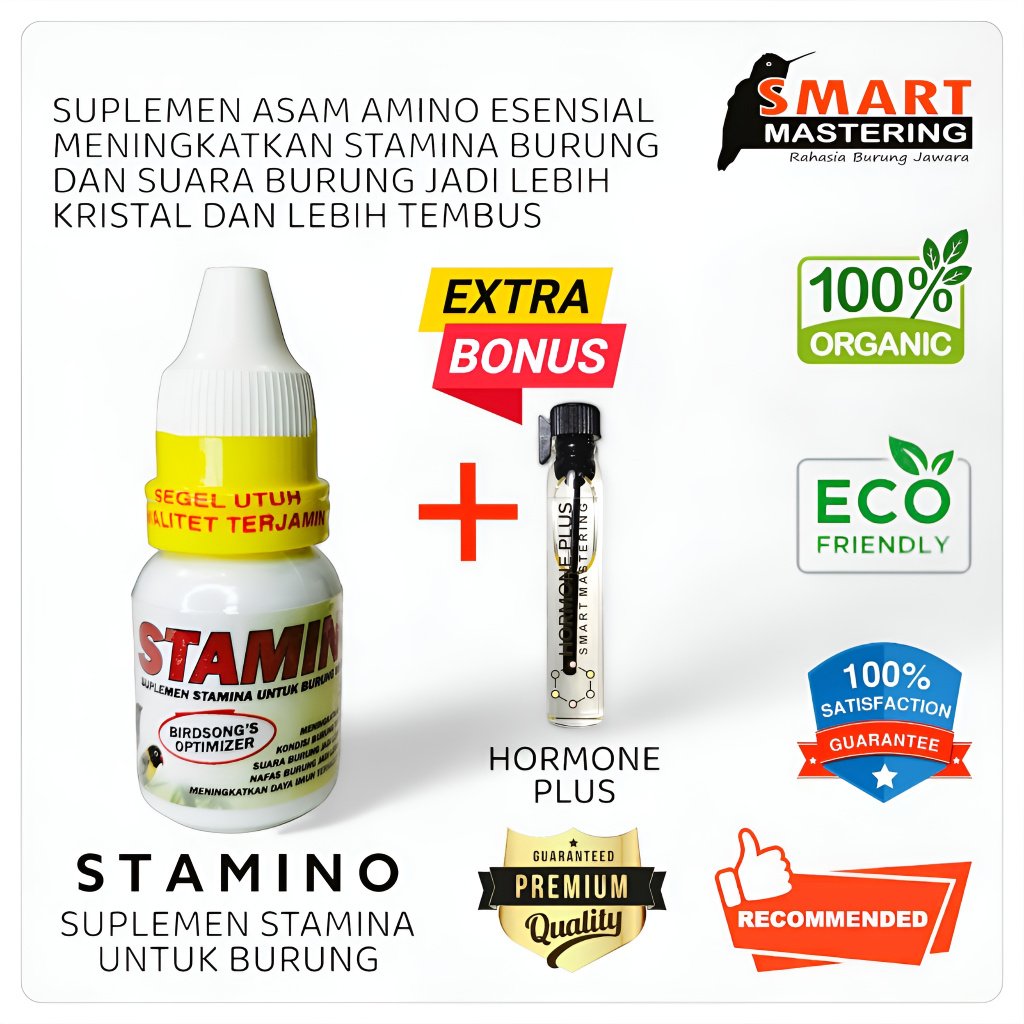 STAMINO Suplemen Asam Amino Esensial Plus Penggacor Burung (Terbaik, Best Seller)