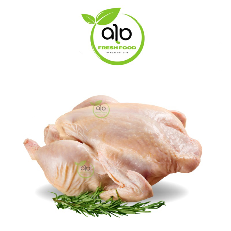 

Ayam Potong Utuh - ALO Fresh Food