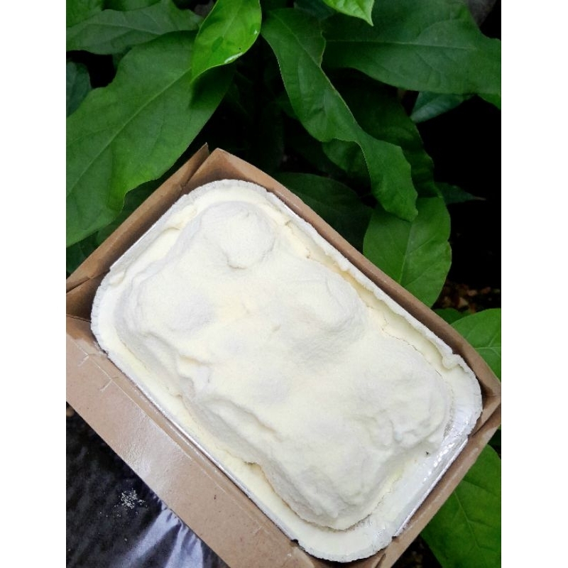 

milkbun