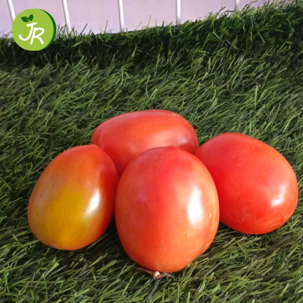 

[PACK] Tomat Segar Organik 1 KG