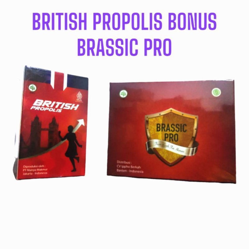 British Propolis bonus Brassic Pro, BRASSIC PRO