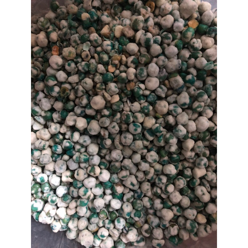 

kacang kapri hijau 250gram