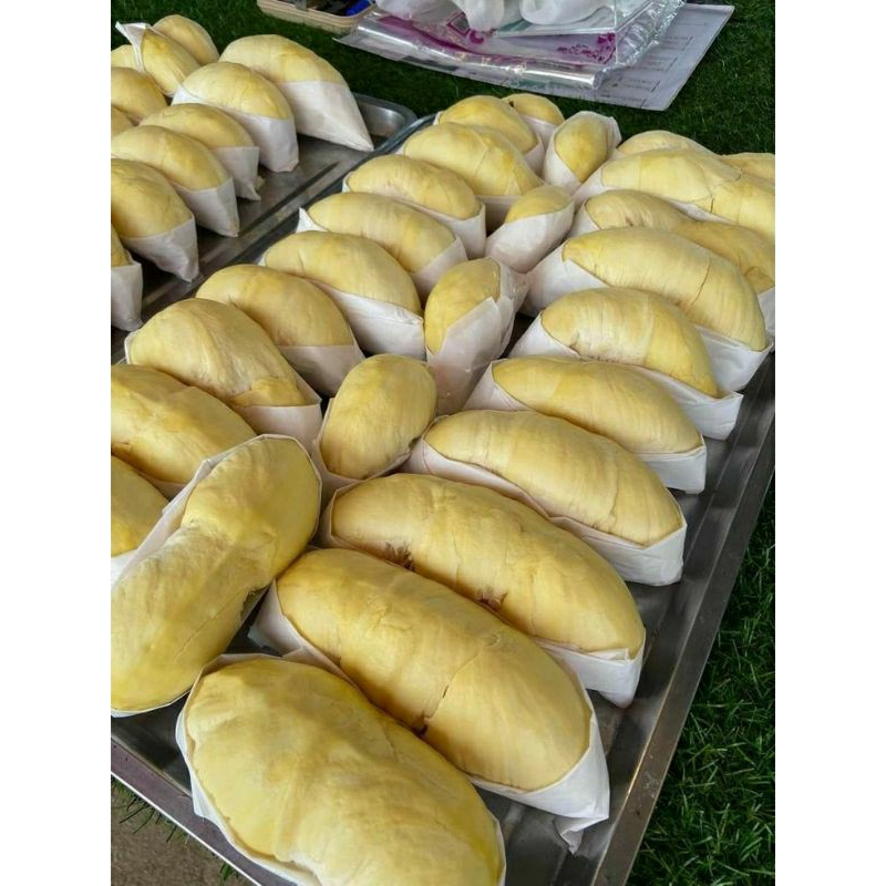 

DURIAN FRESSS KUPAS MATAHARI