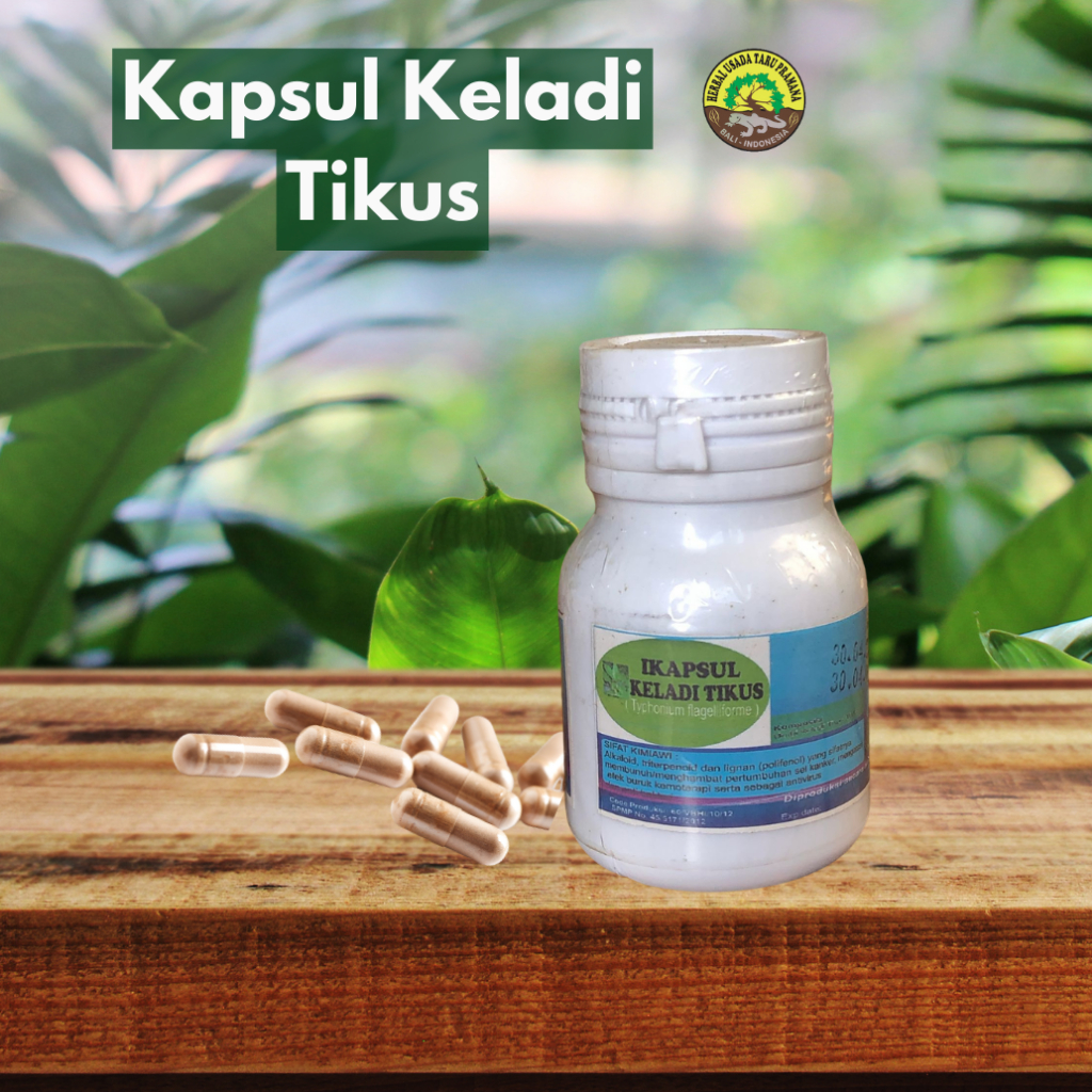Kapsul Keladi Tikus