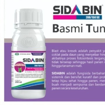 Sidabin 250 Ml fungisida sistemik kontak busuk jamur kresek blast