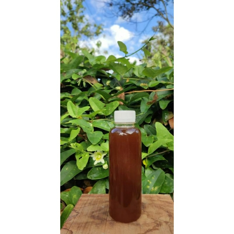 

MADU KLANCENG MURNI 250 ML