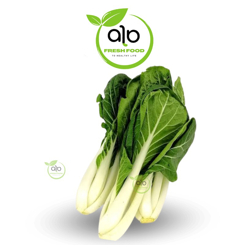 

TERMURAH Sayur Popeye Besar Segar / Sawi Popay / Sui Choy Segar 500gr - 1kg | Sayur online - ALO Fresh Food