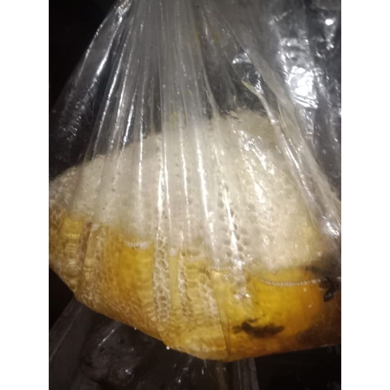 

Madu sialang hutan Sumatera (500Gram/botol | 1KG/Botol)