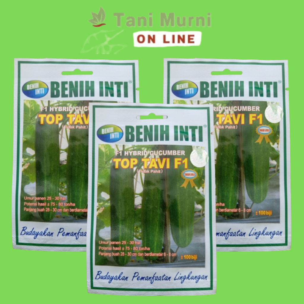 Benih Timun Tidak Pahit TOP TAVI F1 Benih Inti 100 Biji